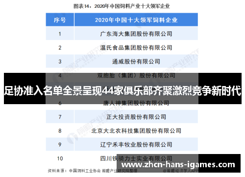 足协准入名单全景呈现44家俱乐部齐聚激烈竞争新时代